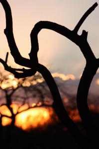 Sondela Sunset (Oct 2013)