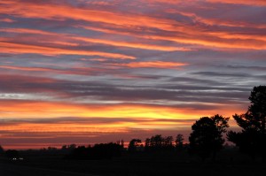 Mpumalanga-Sunrise (1)