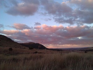 N3-Dawn-c           